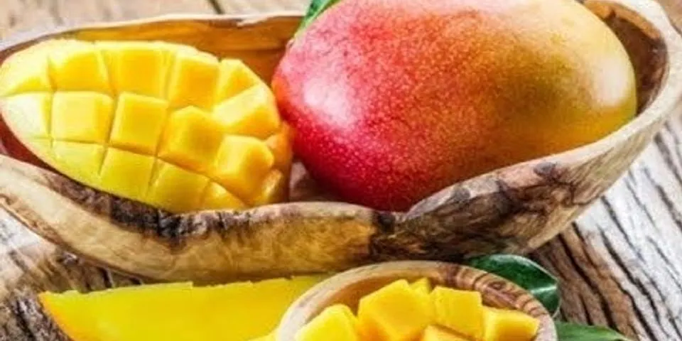 Pada saat kita makan buah mangga bagian buah yang kita makan adalah jaringan
