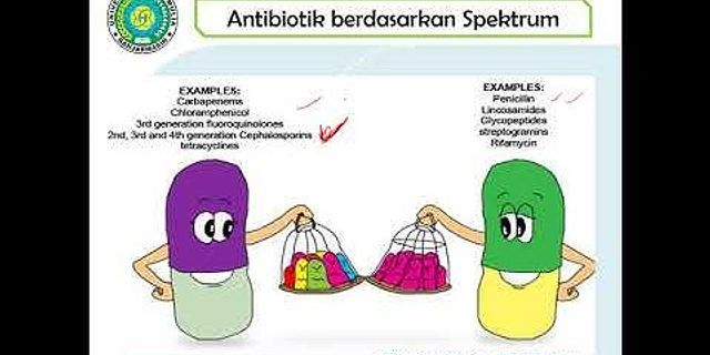 Perbedaan antibiotik dan antivirus