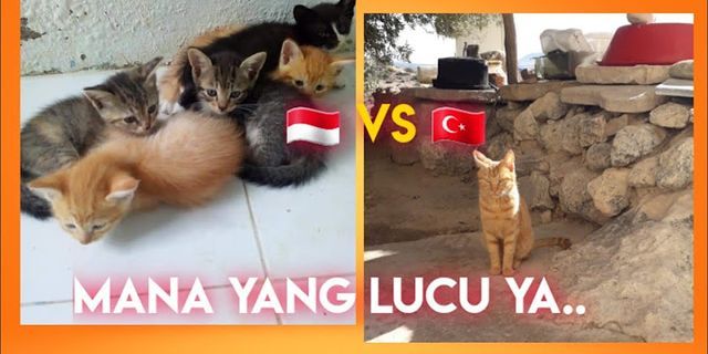 perbedaan jam turki dan indonesia