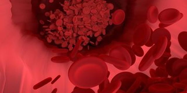 Top 10 peredaran darah dimana darah mengalir melalui pembuluh darah dan dalam satu kali edar dua kali melewati jantung disebut? 2022