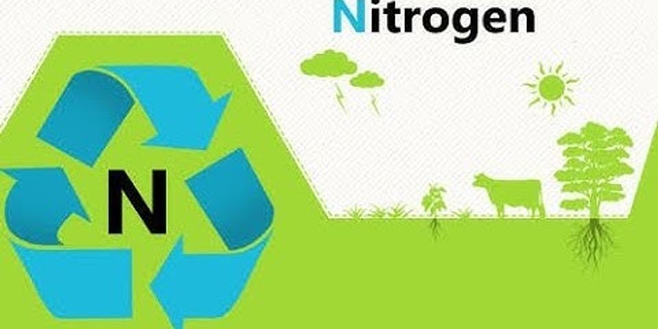Perhatikan daur nitrogen proses yang terjadi pada tahapan Y adalah perubahan