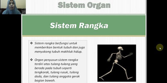 Perhatikan gambar berikut organ yang menyusun sistem organ tersebut adalah
