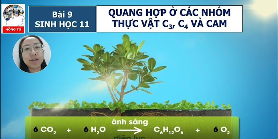 Phân tích sử giống nhau và khác nhau giữa chu trình cố định CO2 ở 3 nhóm thực vật C3 C4 và CAM