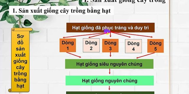 Phương pháp nào dưới đây là phương pháp sản xuất giống cây trồng