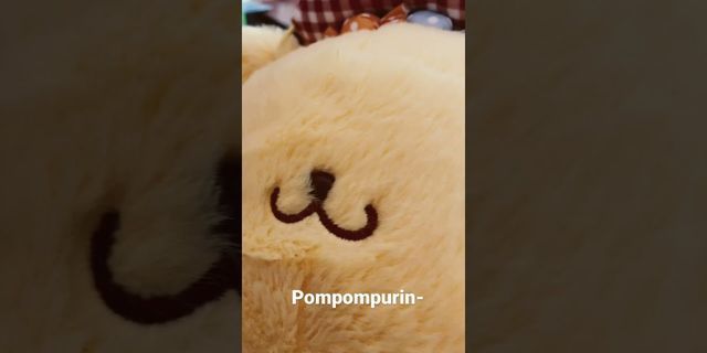 Pompompurin là gì