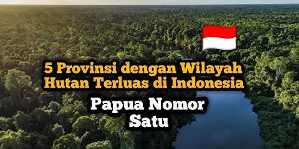 Pulau di Indonesia yang memiliki luas hutan hujan tropis terbesar adalah