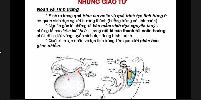 Quá trình hình thành phôi thai mất bao lâu