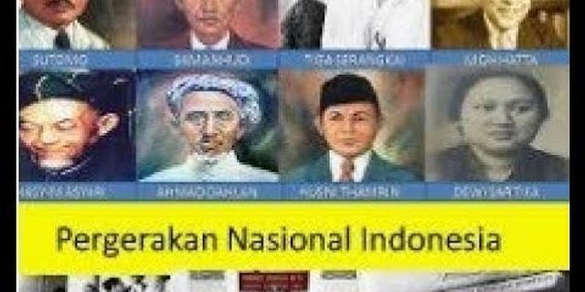 Satu-satunya organisasi pergerakan nasional indonesia yang boleh berdiri pada masa