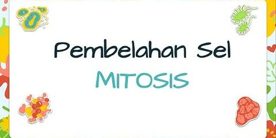 Sebutkan 3 ciri pembelahan mitosis pada tahap metafase