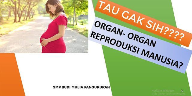 Sebutkan 3 organ penyusun sistem reproduksi pada wanita serta jelaskan apa fungsinya?