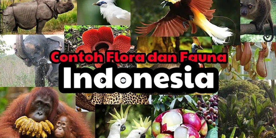 Sebutkan hewan dan tanaman flora dan fauna khas Indonesia