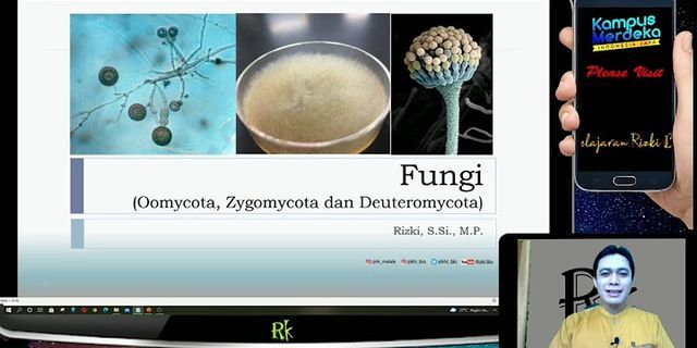 Sebutkan lima spesies jamur Basidiomycota yang dapat dimanfaatkan sebagai bahan makanan