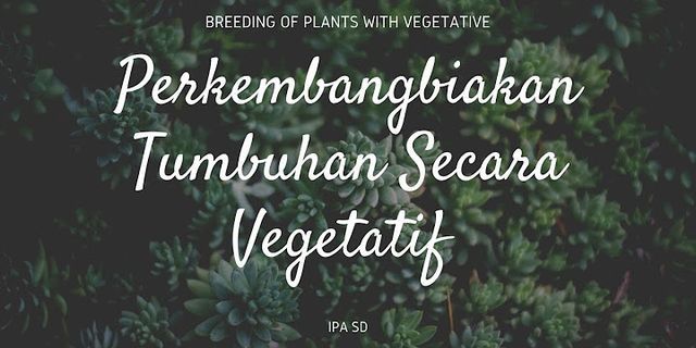 Sebutkan macam macam perkembangbiakan tanaman secara vegetatif yang dilakukan di puspa lebo