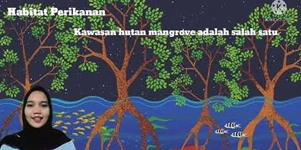 Sebutkan manfaat hutan mangrove bagi penduduk daerah pesisir pantai