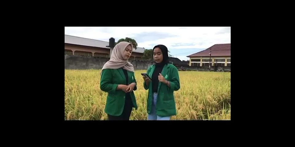 Sebutkan manfaat sumber daya alam padi bagi ekonomi masyarakat Indonesia