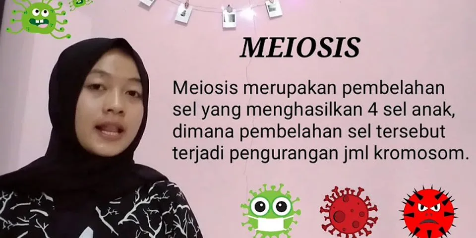 Sebutkan perbedaan antara pembelahan mitosis dan pembelahan meiosis