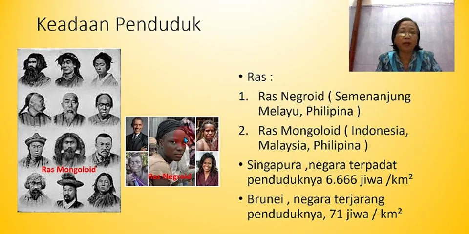Sebutkan ras ras yang ada di negara negara ASEAN
