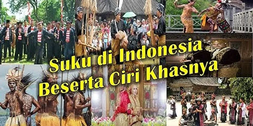 Sebutkan tiga contoh suku bangsa di indonesia berdasarkan asal daerah
