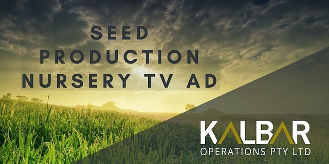 Seed production là gì