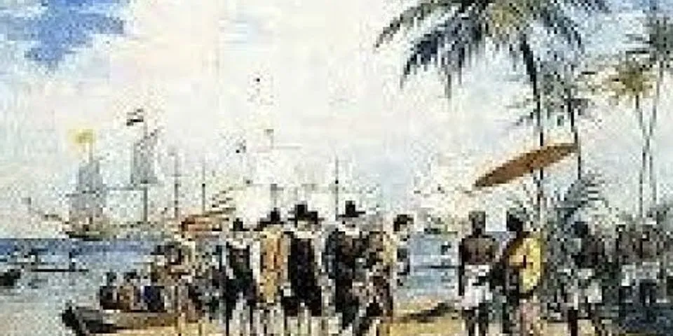 Siapa pimpinan bangsa Belanda yang berhasil sampai di Indonesia?