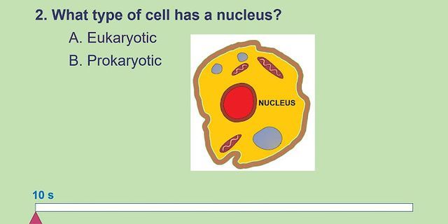 So sánh tế bào nhân sơ và tế bào thực vật