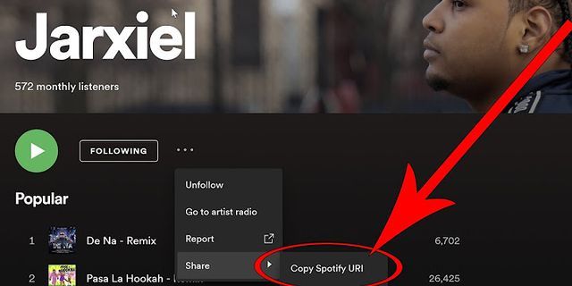 Spotify playlist URI