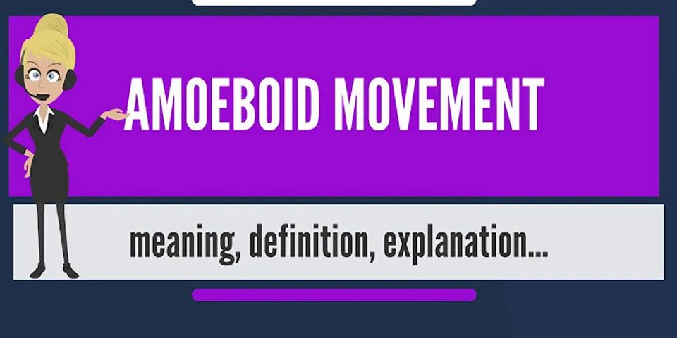Struktur seluler manakah yang bertanggung jawab atas Pergerakan amoeba