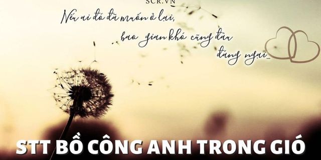 Top 9 stt bồ công anh chỉ bay khi có gió 2022