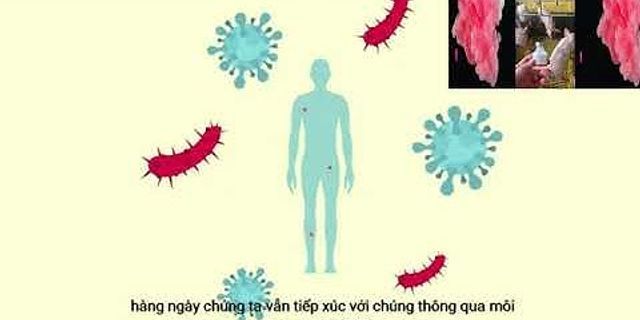 Sự khác nhau cơ bản giữa vi khuẩn và virus
