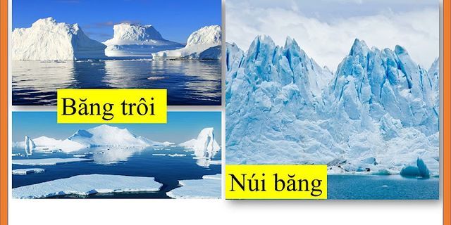 Sự khác nhau giữa môi trường đới lạnh ở vùng Bắc Cực và cũng Nam Cực là