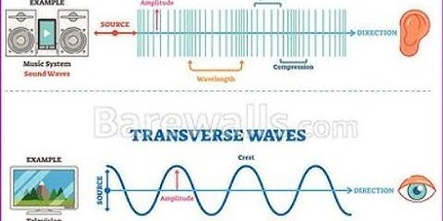 Sự khác nhau giữa sóng ngang và sóng dọc