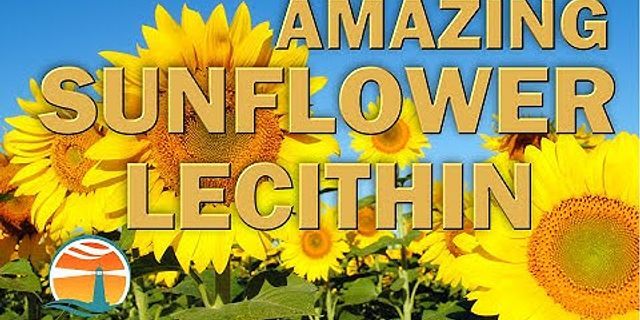 Sunflower Lecithin cách dùng