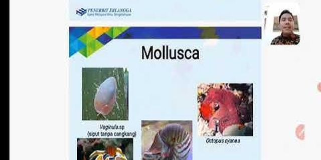 Tabel perbedaan Mollusca arthropoda dan Echinodermata