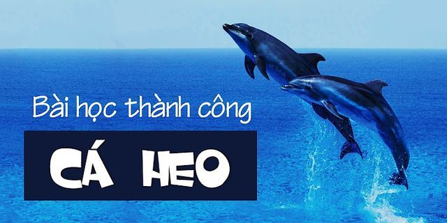 Tại sao nổi cá voi thuộc lớp thú