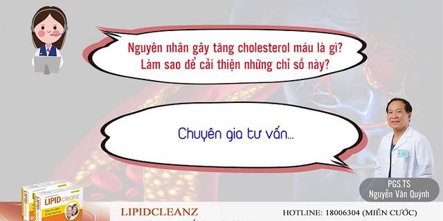 Tăng cholesterol máu là gì