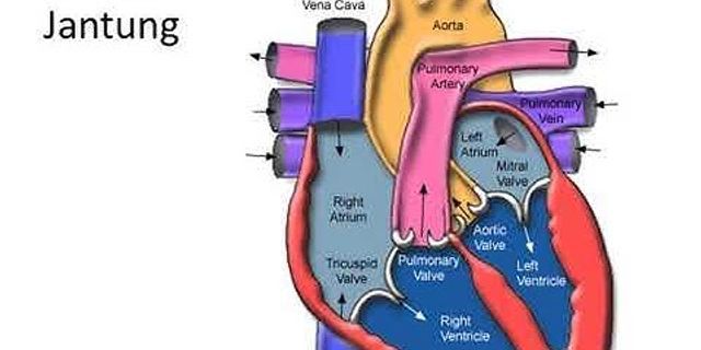 Tekanan yang terjadi pada saat jantung memompa darah ke seluruh tubuh dapat dijelaskan karena