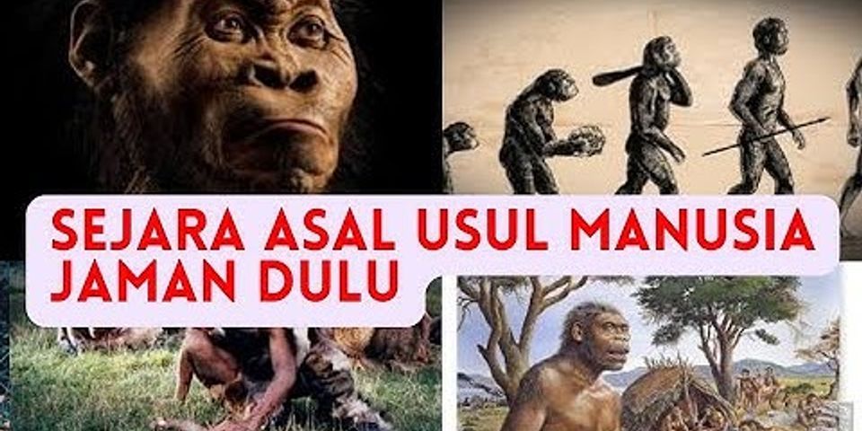 Teori yang menyatakan bahwa asal usul manusia purba di Indonesia berasal dari cina adalah teori