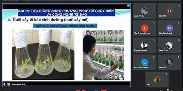 Thành tựu tạo giống bằng phương pháp gây đột biến ở Việt Nam