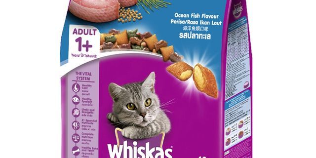 Top 4 đồ ăn cho mèo royal 2kg tốt nhất 2022