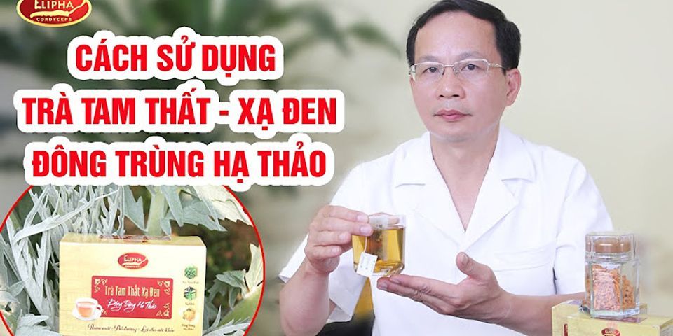 Trà tam thất mua ở đâu