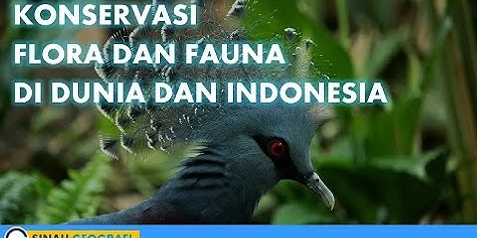 Tuliskan 6 tempat konservasi flora dan fauna di Indonesia