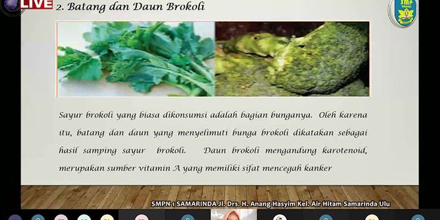 A memiliki sebagai penyakit merupakan brokoli yang mengandung karotenoid sumber vitamin yang pencegah daun sifat Pengertian, Manfaat