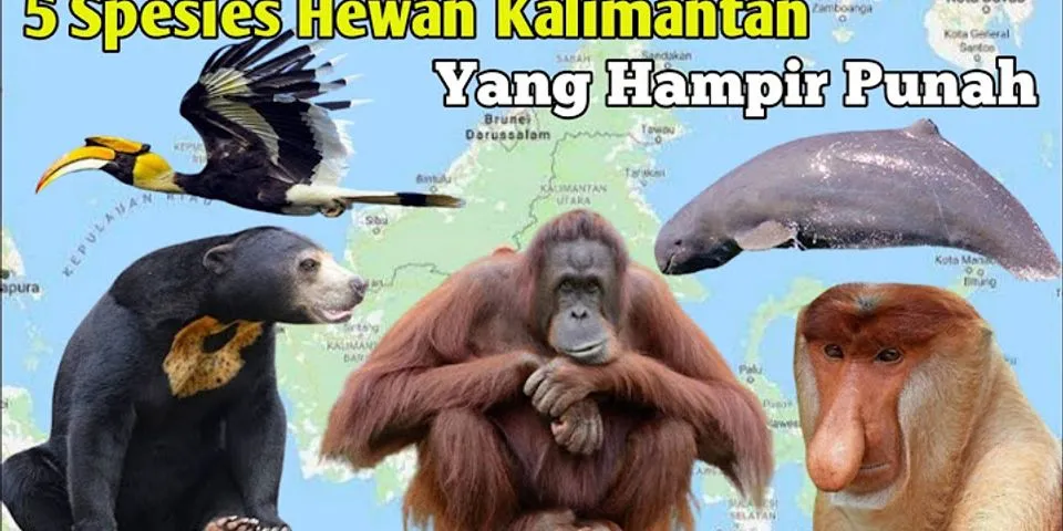 Tuliskan tiga fauna endemik yang ada di Indonesia