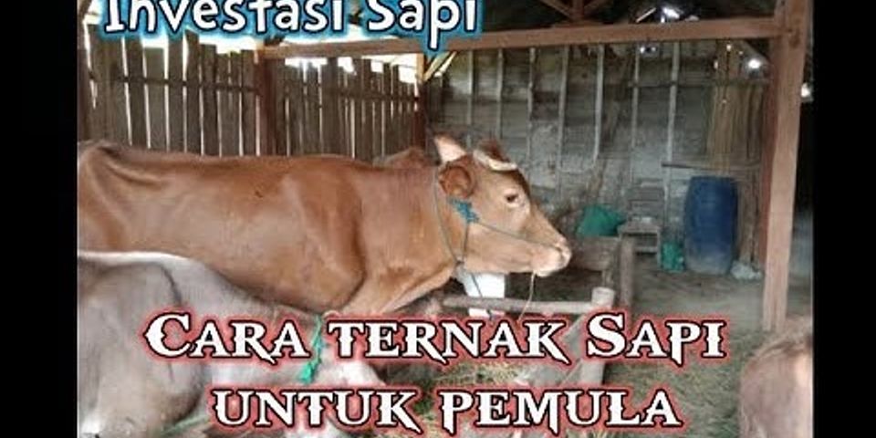 Tuliskan tiga jenis hewan peternakan yang dibudidayakan oleh masyarakat indonesia