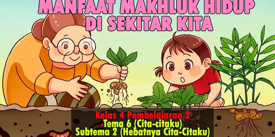 Tumbuhan Yang Dimanfaatkan Sebagai Sumber Makanan Manusia Adalah