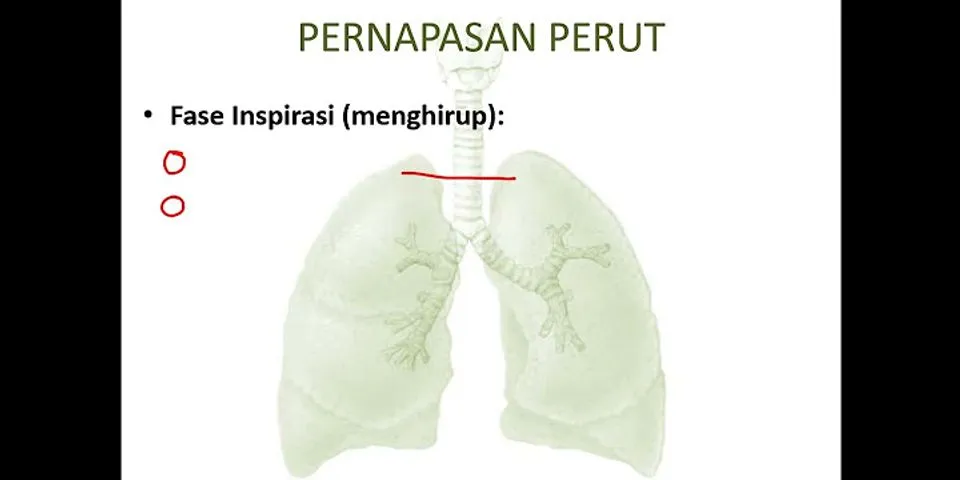 Udara yang menjaga agar paru-paru tetap dalam keadaan mengembang adalah