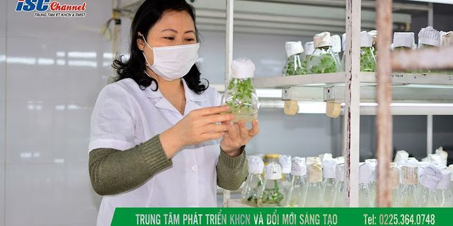 Vì sao không áp dụng đại trà phương pháp nuôi cấy mô tế bào vào sản xuất giống cây trồng