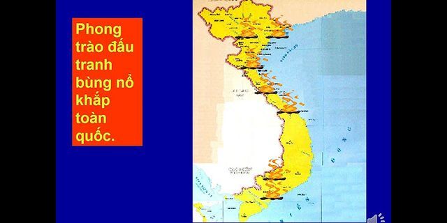 Vì sao khuynh hướng vô sản lại thắng thế ở Việt Nam