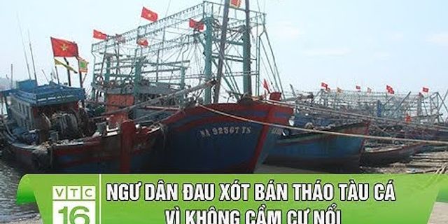 Việt Nam chịu ảnh hưởng thường xuyên bởi loại gió nào trong 3 loại gió chính trên trái đất