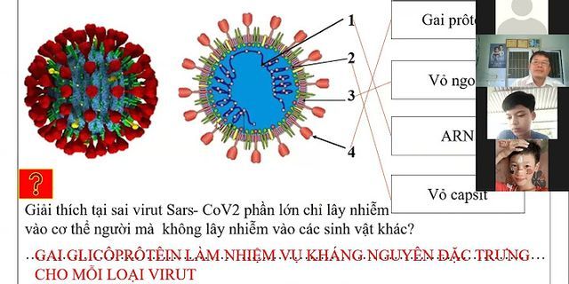 Virus không được coi là tế bào sống vì sao
